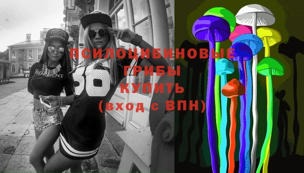 индика Абинск