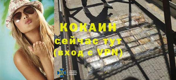 индика Абинск