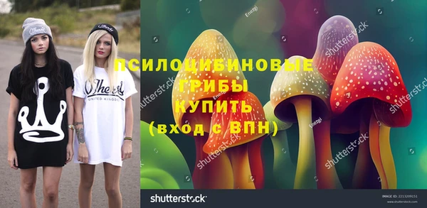 индика Абинск