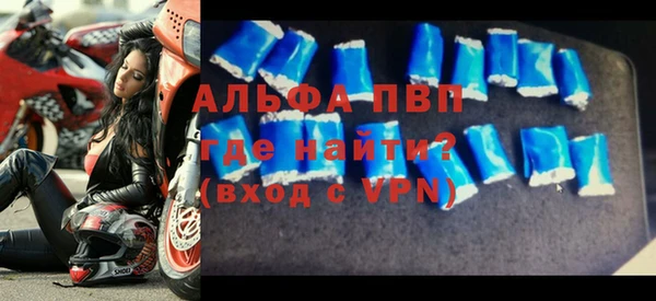 гашик Алексин