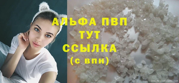гашик Алексин