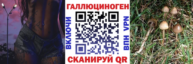 Галлюциногенные грибы GOLDEN TEACHER  mega ссылки  Севастополь 